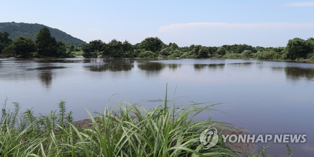 '저수지가 된 밭'
