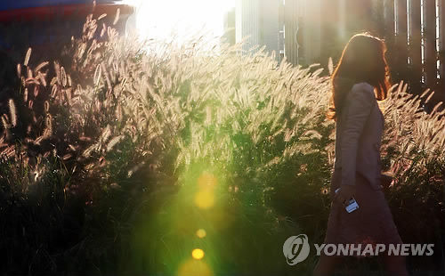 가을 햇살 받으며 상쾌한 출근길