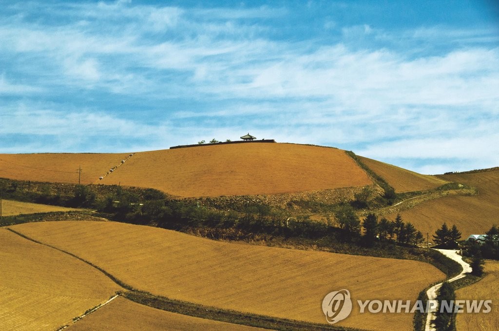강릉∼평창∼정선 올림픽 아리바우길