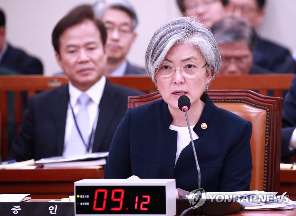 답변하는 강경화 외교장관
