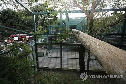 퓨마 사육장