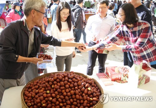 "보은 대추 맛 보세요"