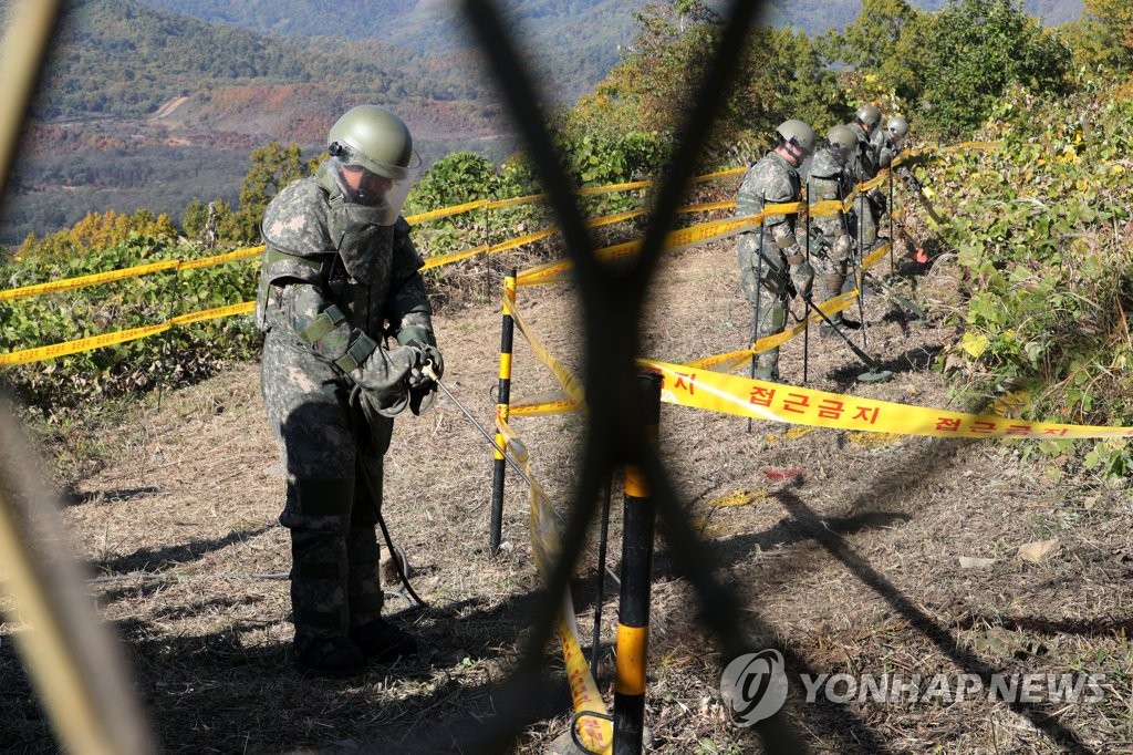 지뢰제거 작업하는 DMZ 군 장병