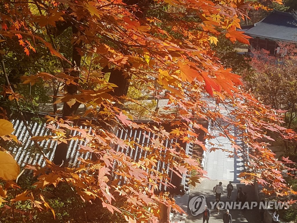 통도사의 가을