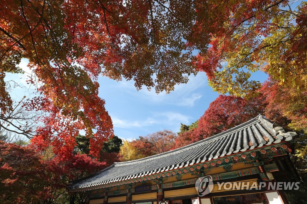 가을 절정
