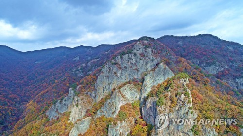 내장산의 막바지 단풍 '절정'