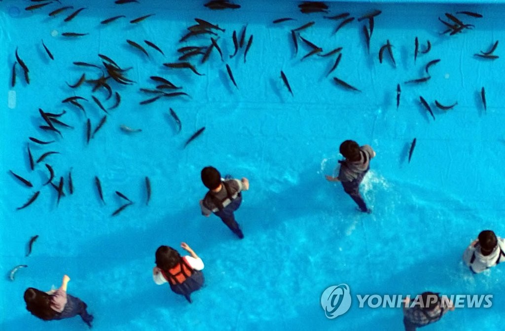 '송어 잡으러' 꽁꽁축제 맨손잡기