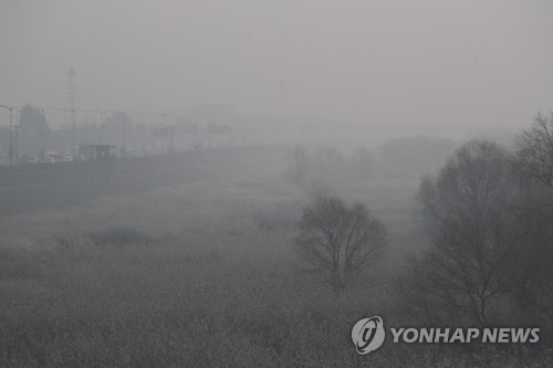 흐릿한 자유로