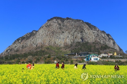제주 찾은 관광객들