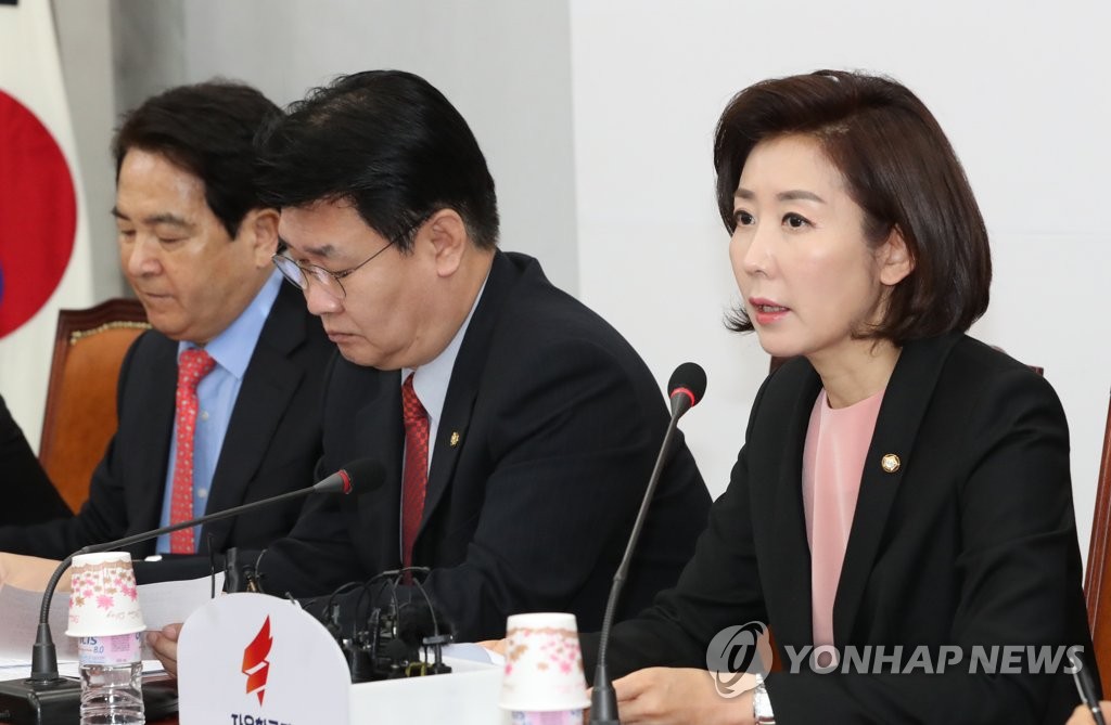 연석회의에서 발언하는 나경원