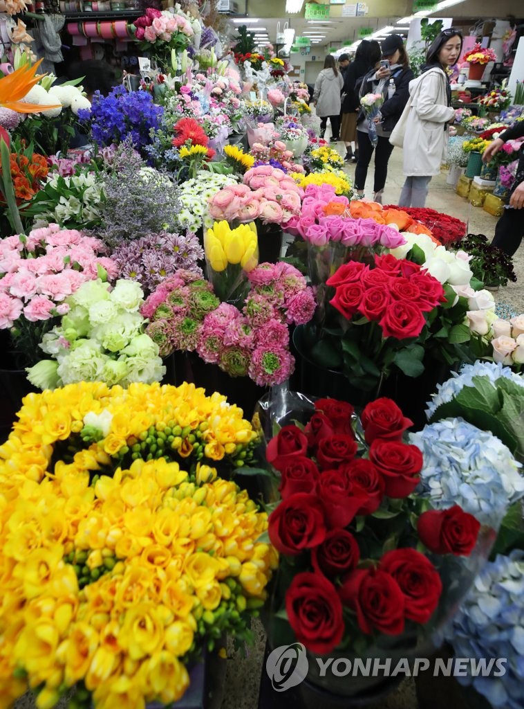 봄이 왔어요