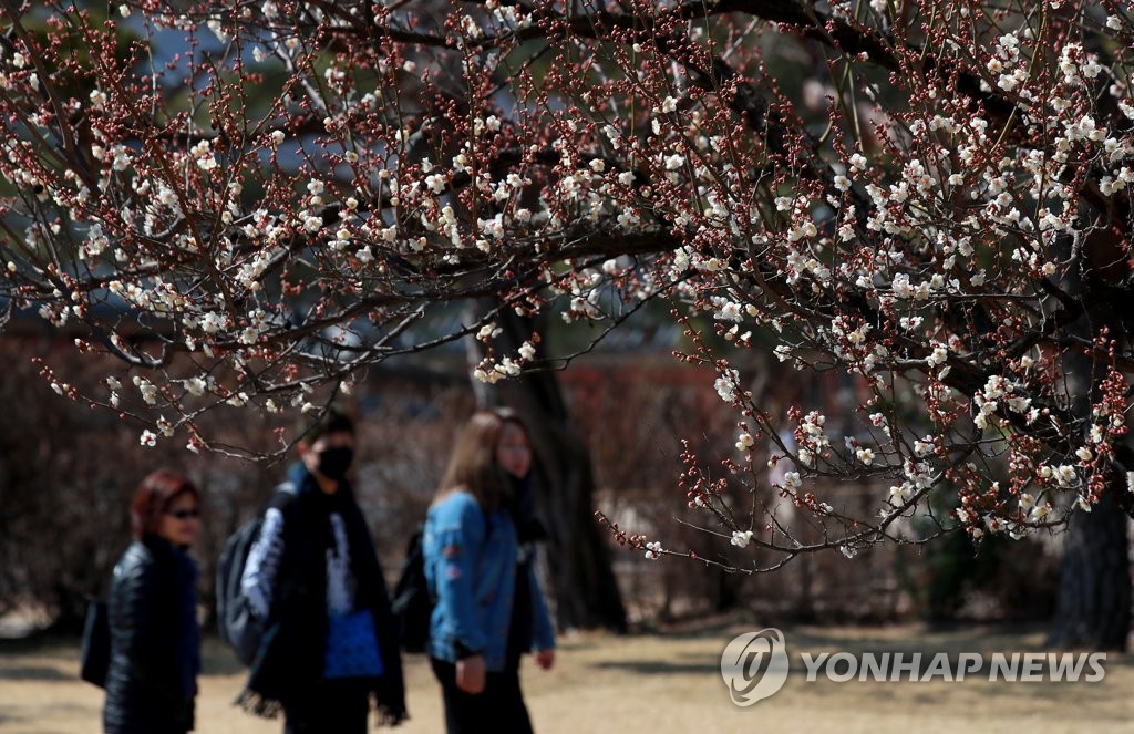 시나브로 어느덧 봄