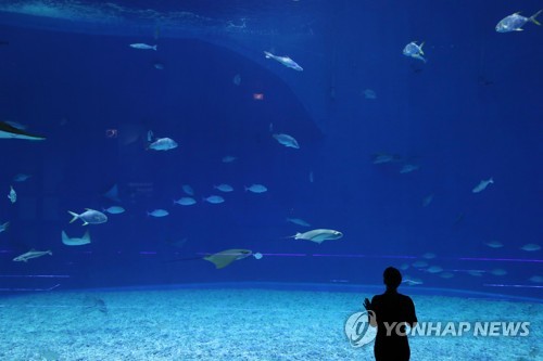김정은 위원장, 프리모스키 수족관 방문할까?