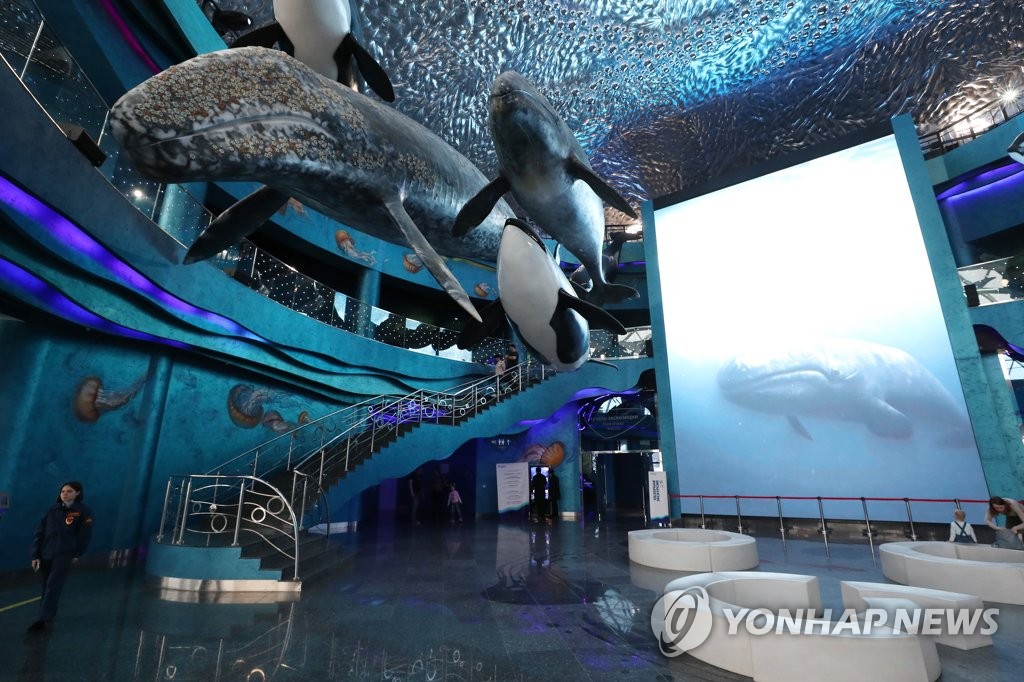 Primorsky Aquarium Primorsky Aquarium