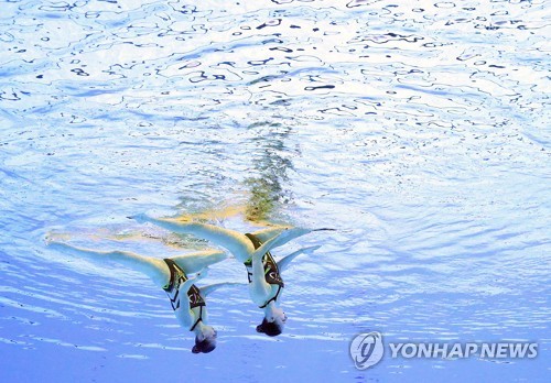금빛 열연