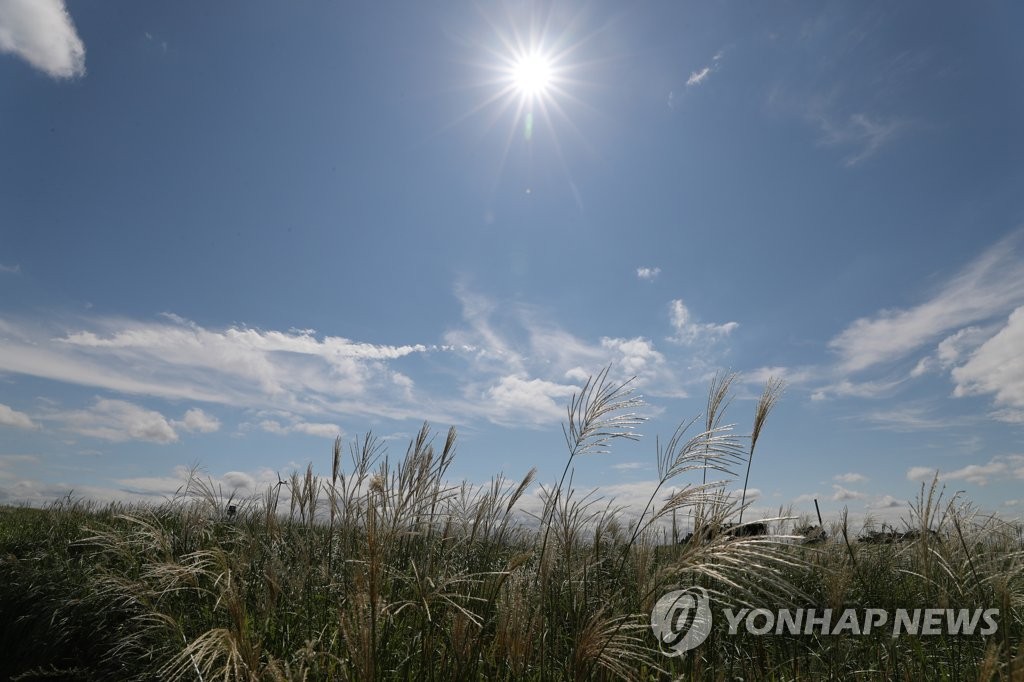 '가을이 왔어요'