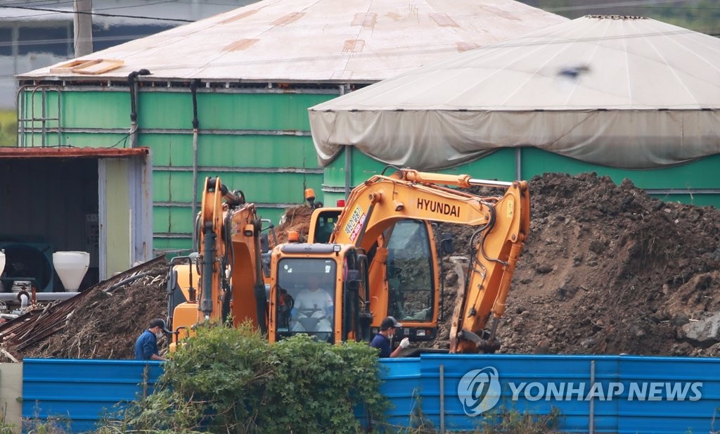 Primer caso de peste porcina africana en Corea del Sur Primer caso de peste porcina africana en Corea del Sur