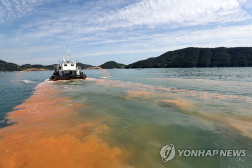적조를 대하는 방법