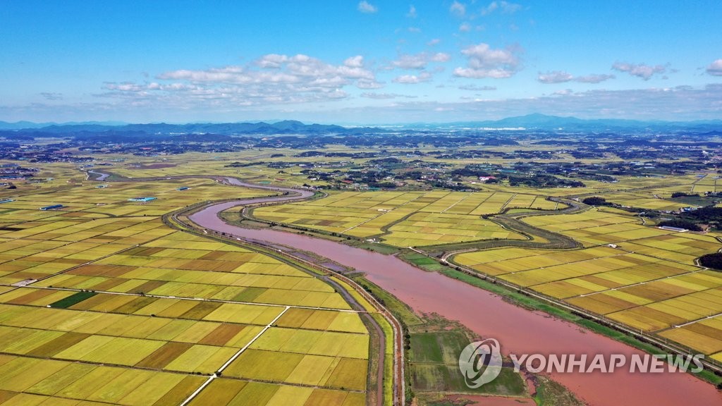 태풍이 지난 자리