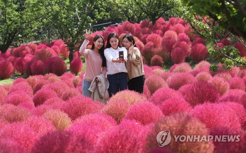 붉게 물든 가을