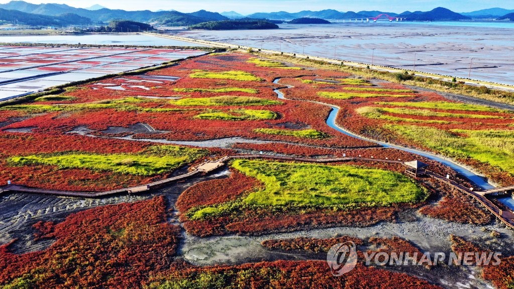 Salt marsh's autumnal colors Salt marsh's autumnal colors