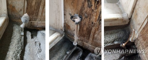 새 아파트 욕실에 시커먼 곰팡이와 8번 난 버섯