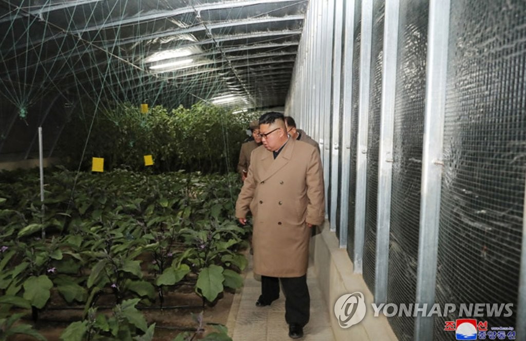 북한 김정은, 경성군 중평남새온실농장·양묘장 건설장 시찰