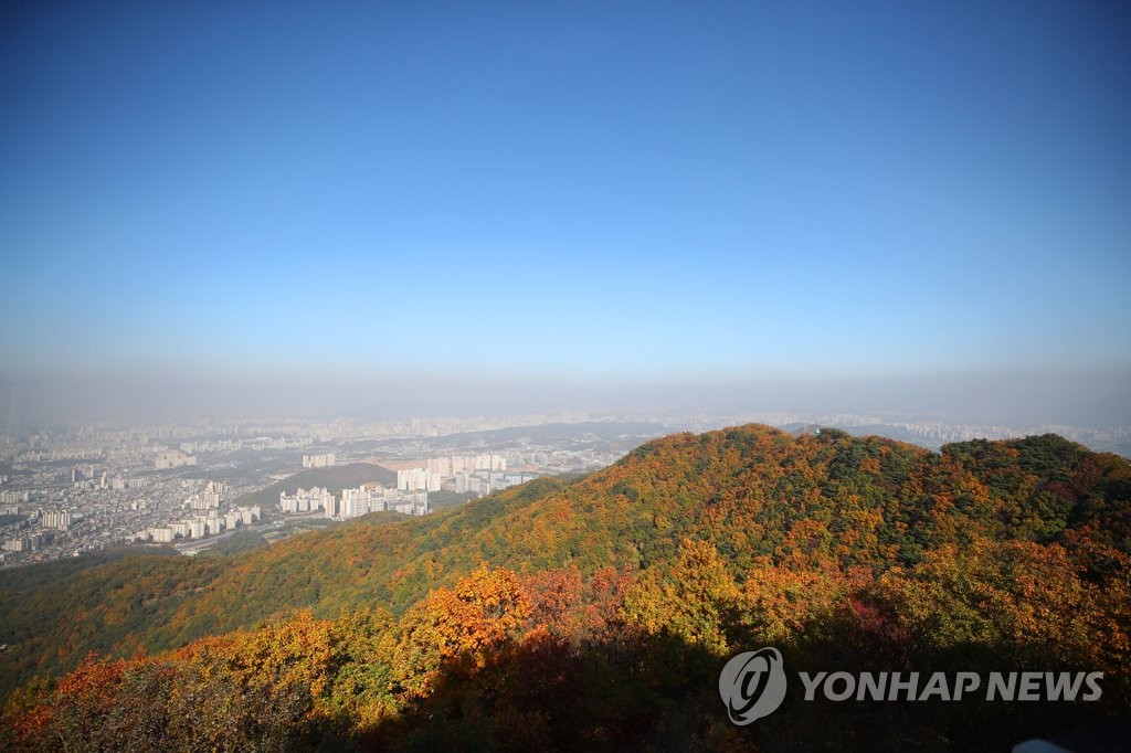파란 하늘과 가을 단풍 사이 회색 도시