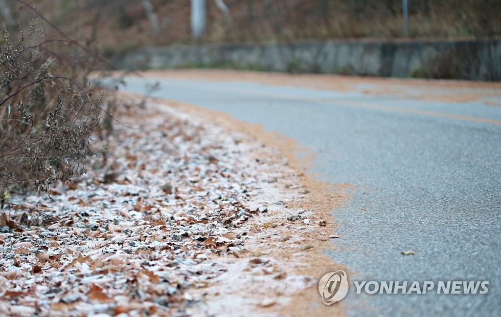 겨울로 가는 길