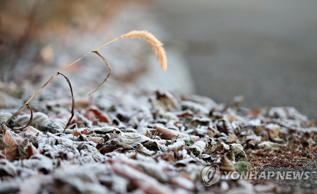 가을과 겨울 사이