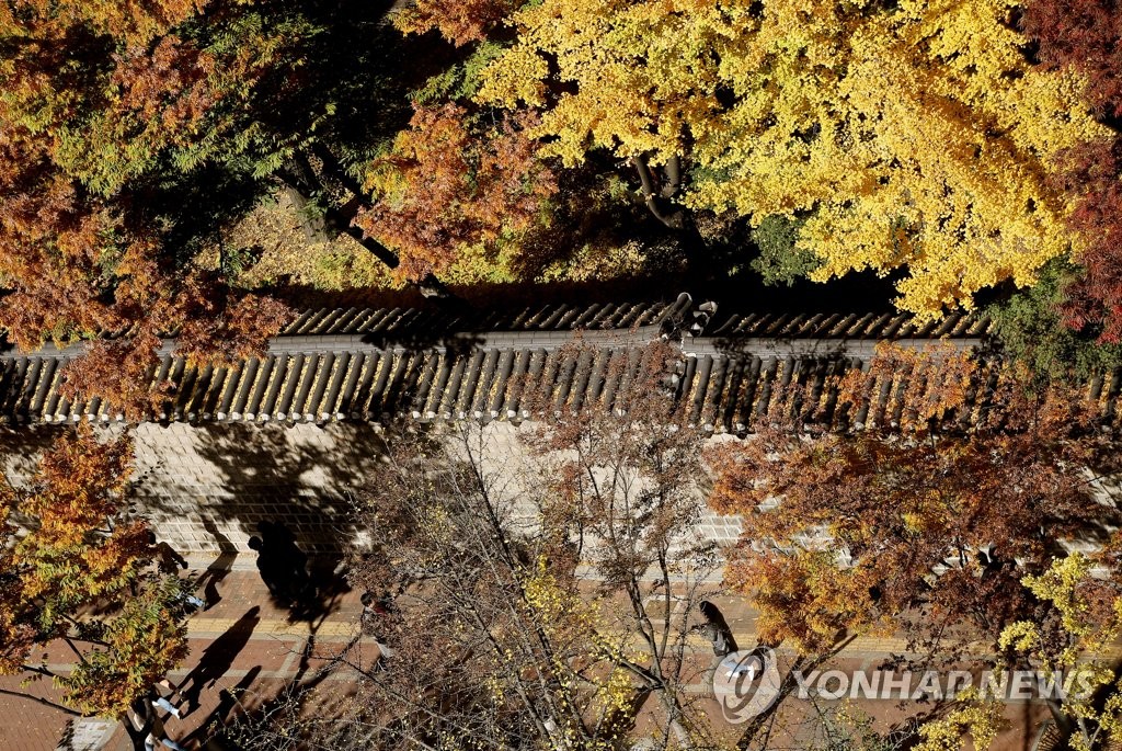 '덕수궁 담벼락에 내려 앉은 낙엽들'