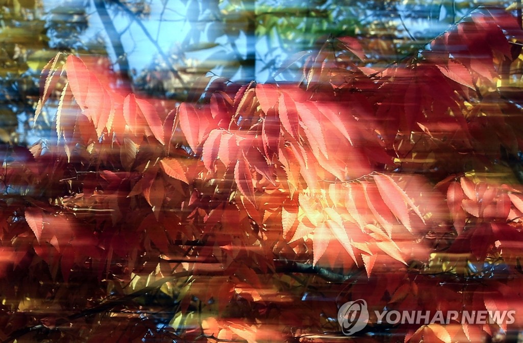 '가을, 안녕'