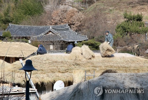 양동마을 이엉 교체