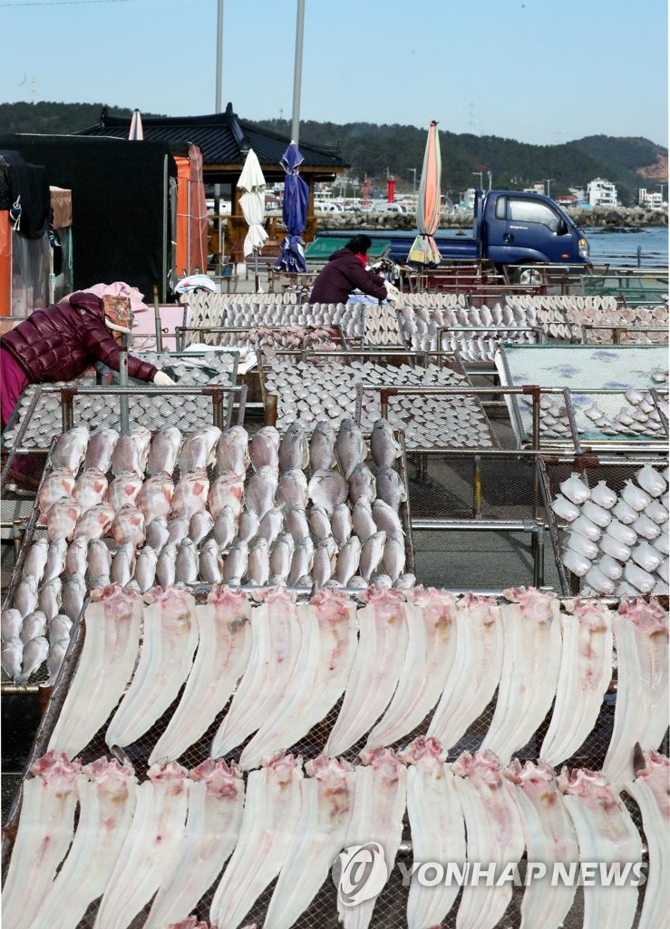 Drying fish Drying fish