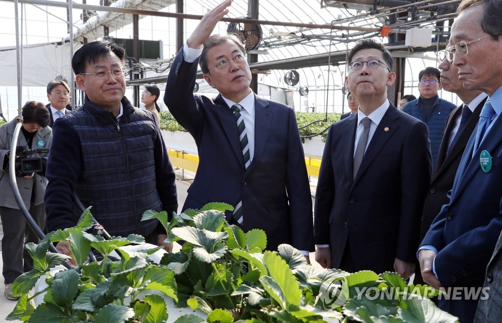 딸기 쿨링하우스 관련 질문하는 문 대통령