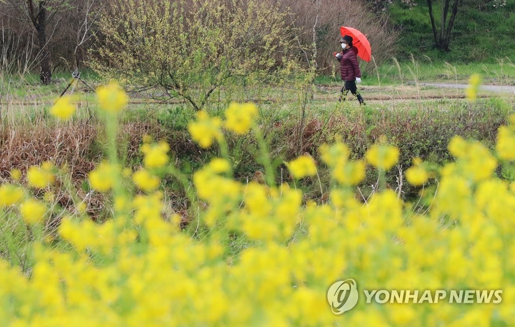 '봄이 왔다'