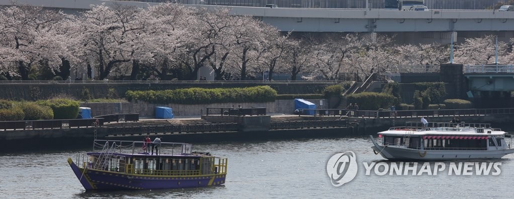 (도쿄=연합뉴스) 이세원 특파원 = 26일 일본 도쿄도(東京都)를 흐르는 하천인 스미다가와(隅田川)의 유람선에서 탑승자가 벚꽃을 배경으로 사진을 찍고 있다.