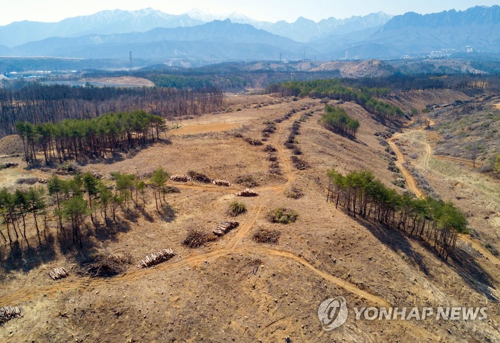민둥산으로 변한 산불피해 지역