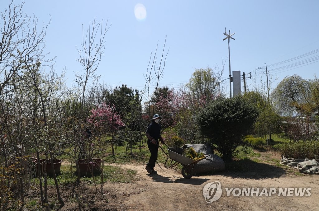 식목일에도 한산한 농원