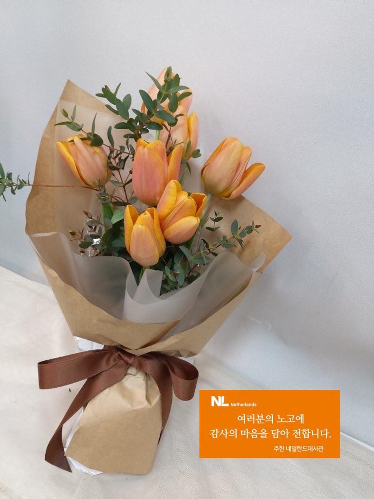 네덜란드 대사관, 서울의료원에 튤립 1천다발
