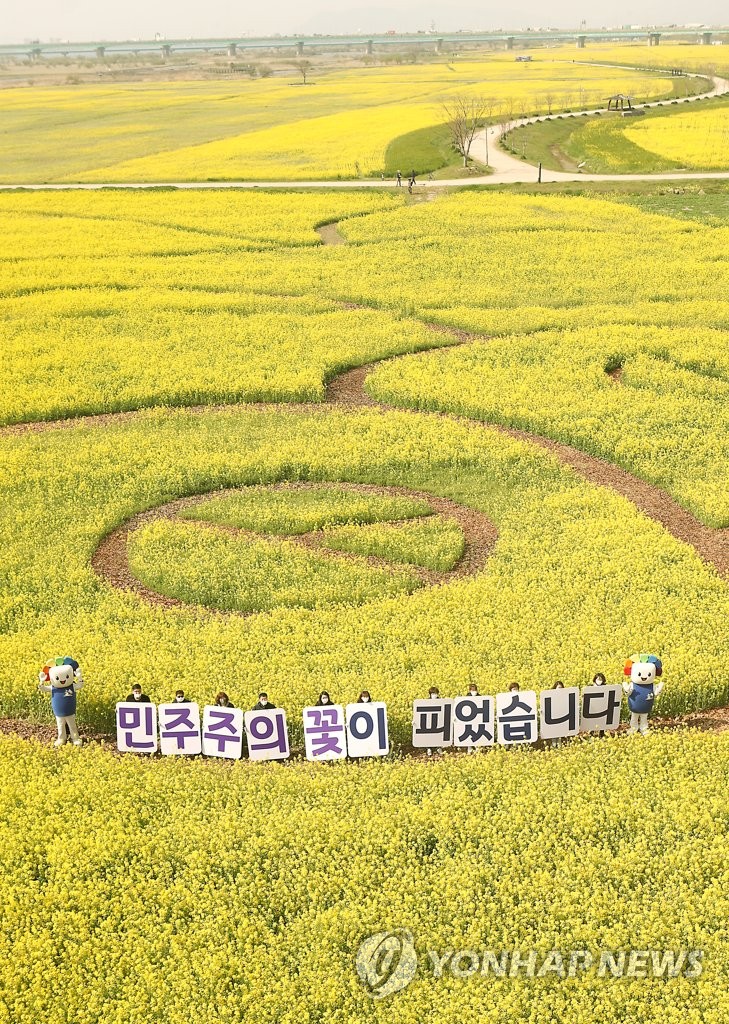 유채꽃밭에서 총선 투표 참여 퍼포먼스