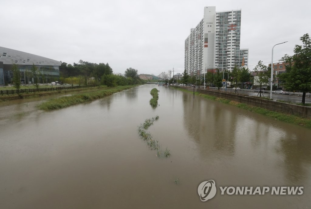 여천천 산책로 또 침수