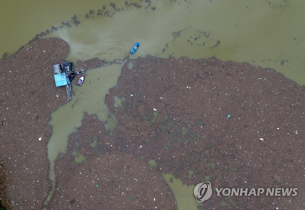 소양호 상류에 생긴 쓰레기 섬