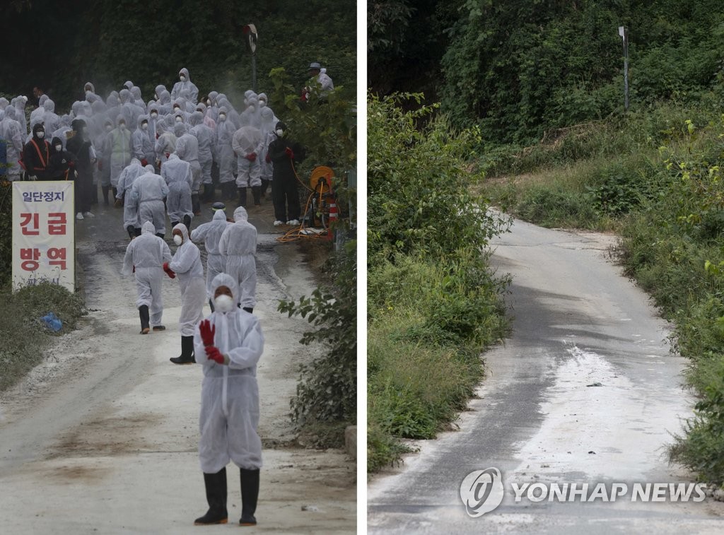 ASF 발병으로 시간이 멈춘 양돈농가