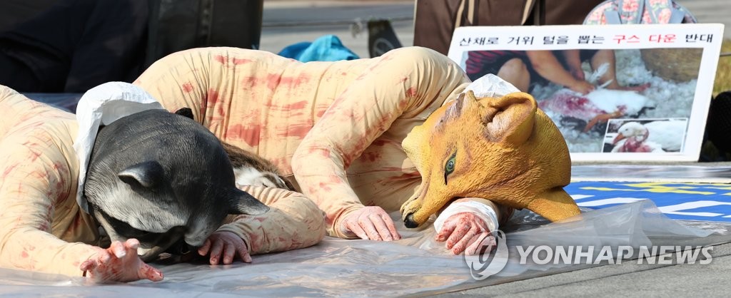시민단체, '동물 죽이는 모피, 반대한다'