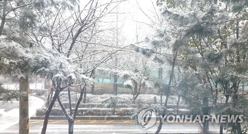 서울 풍납동에 내리는 눈