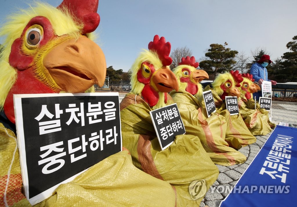 Against poultry culling Against poultry culling