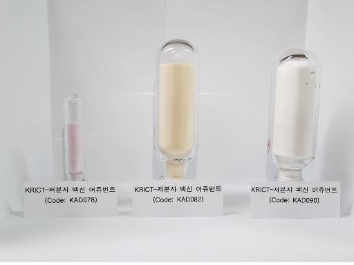 화학연, 백신 효능 높여줄 가짜 바이러스RNA 개발