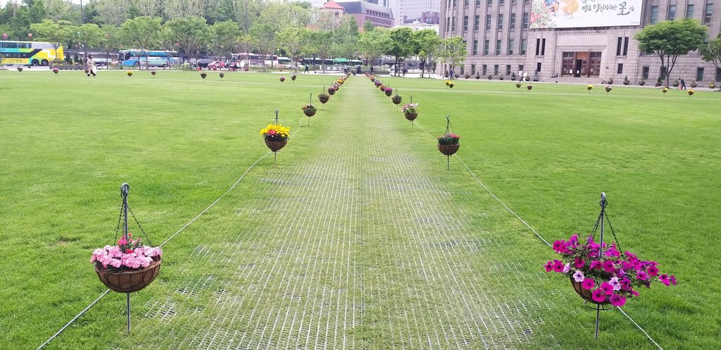 ソウル広場に花の道 ソウル広場に花の道