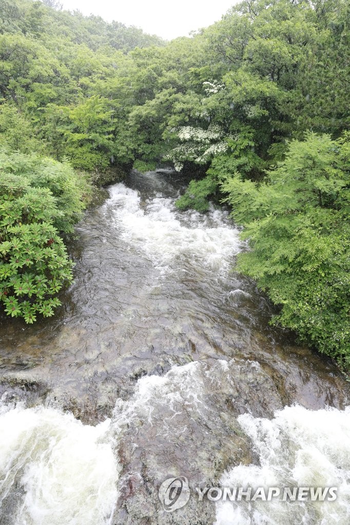 Rapids on Mount Halla Rapids on Mount Halla